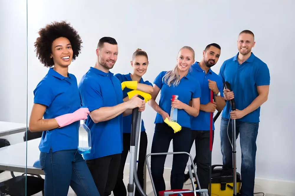 Cleaning Services in Sussex